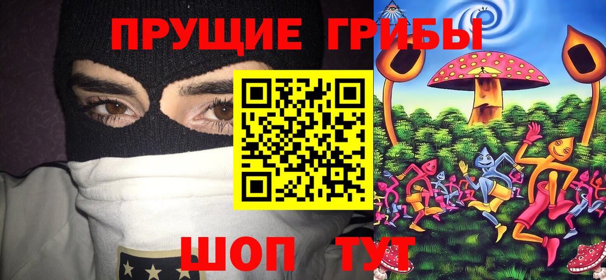 Галлюциногенные грибы ЛСД Куйбышев